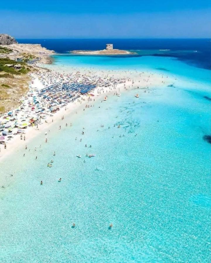 Elisart 2 Bed & Breakfast Alghero Dış mekan fotoğraf
