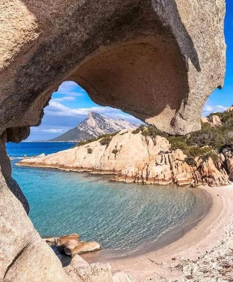 Elisart 2 Bed & Breakfast Alghero Dış mekan fotoğraf